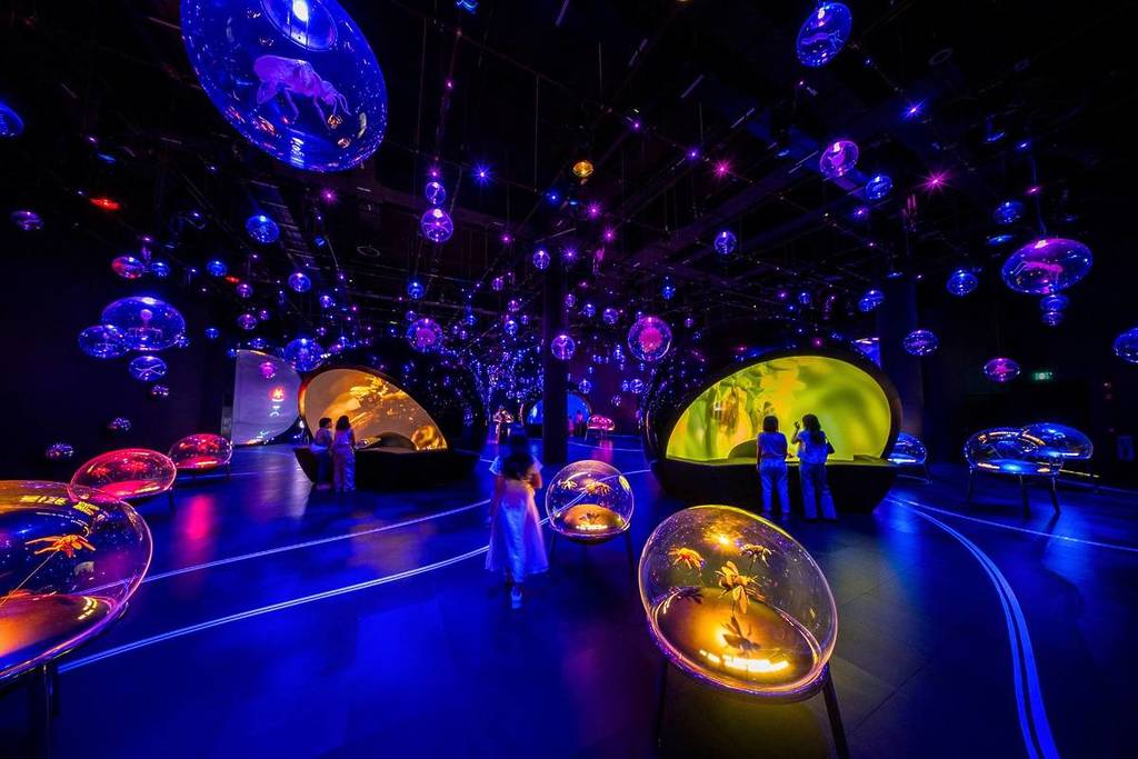 interior of new attraction at Mandai Wildlife Exploria