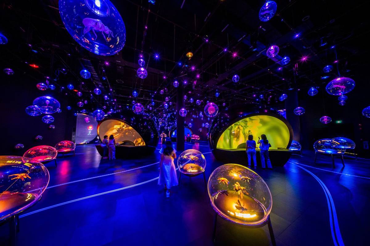 Exploria Singapore New Massive Indoor Nature Attraction At Mandai