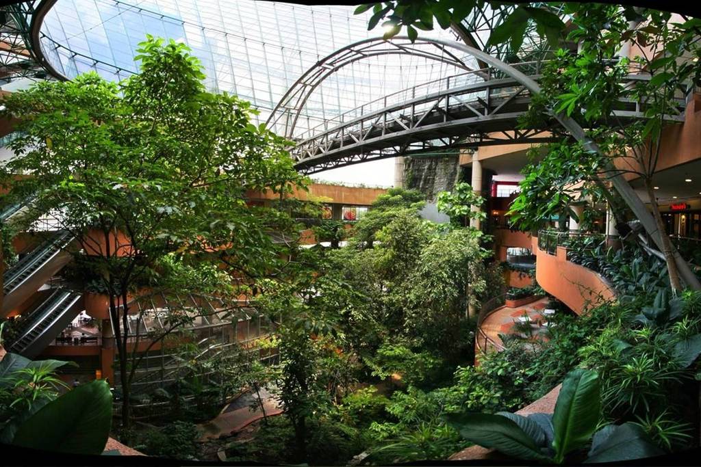 rainforest in 1 utama shopping mall in Malaysia 