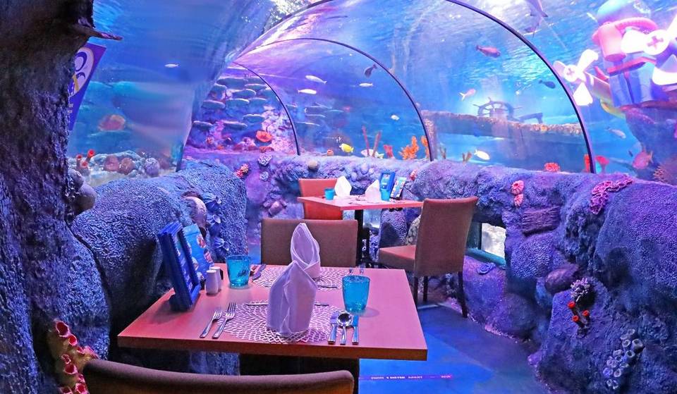 Just 45 Mins From SG: Malaysia’s Only Underwater Dining Returns For 2026
