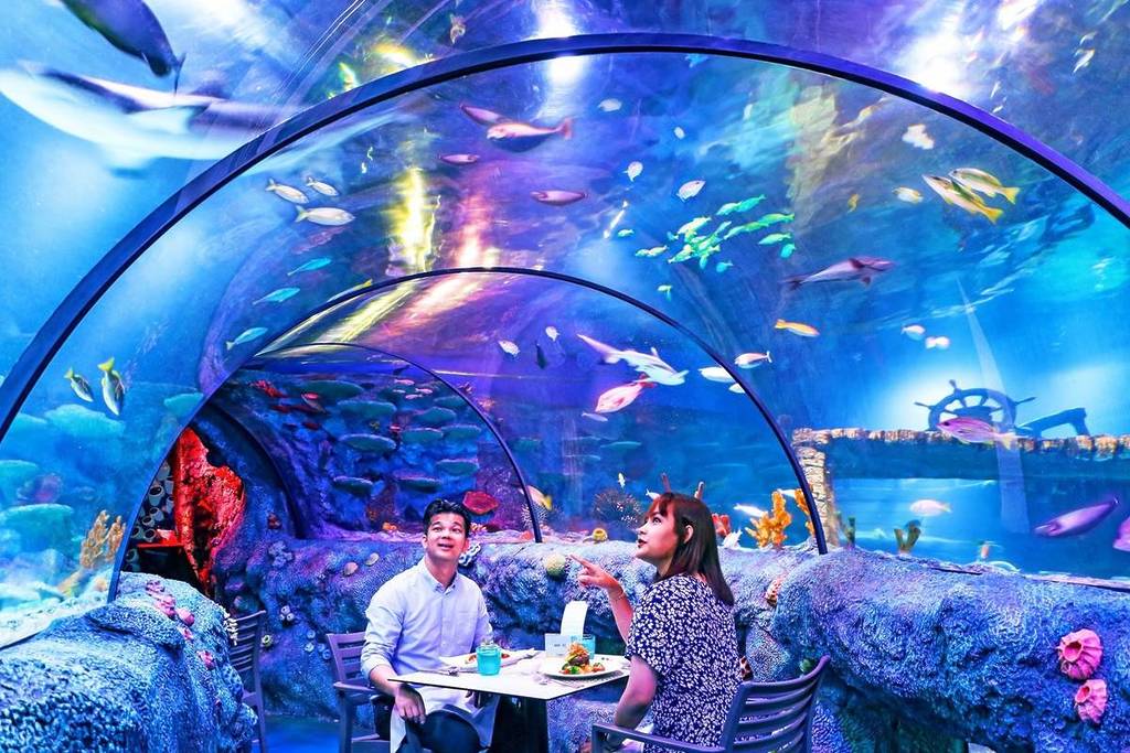 underwater dining in Malaysia with sharks and colourful fish