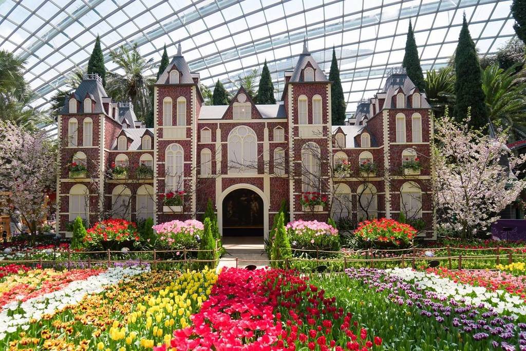 Tulipmania 2026 May things to do in Singapore 