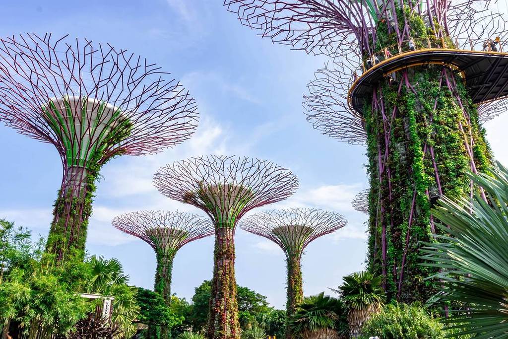 The stunning Supertree Grove at Gardens by the Bay - best touristic things to do in Singapore