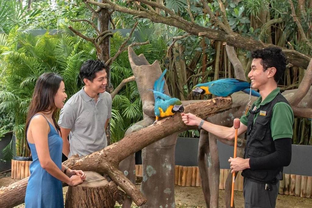 Guests at the Singapore zoo interacting with parrots