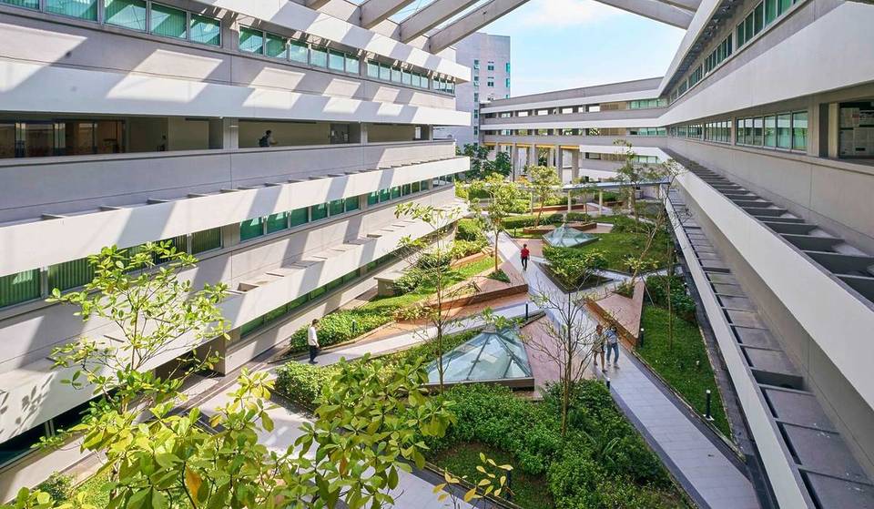 Global flex: NUS just ranked 17th best university worldwide for 2026 &amp; here’s why
