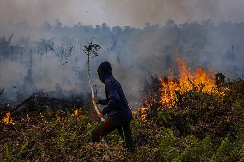 burning forest fires in Indonesia