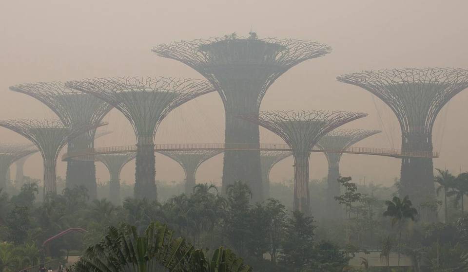 Singapore faces a severe haze risk by next month due to an intensifying Godzilla El Niño—as over 32,600 hectares are already scorched nearby