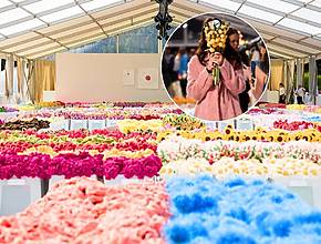 Southeast Asia’s first Plush Flower Market lands in Singapore for 5 days only—and it’s completely free entry