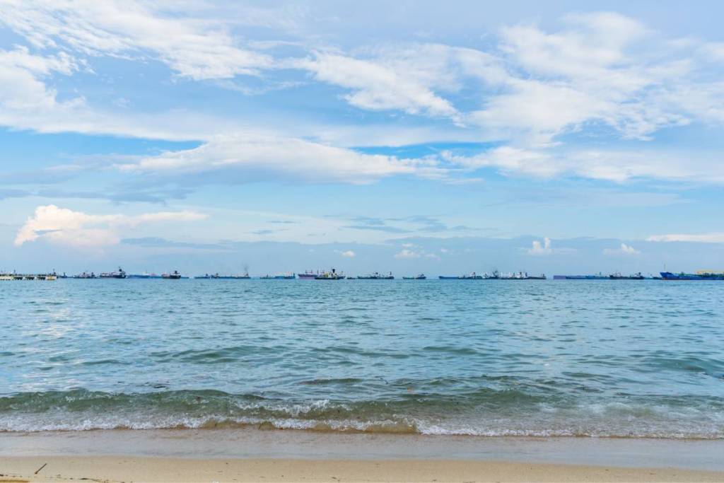 East Coast Park places to scream 
