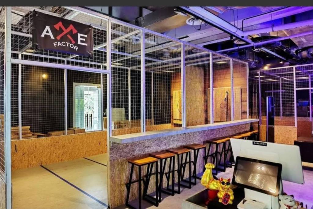 Axe Factor throwing axes 