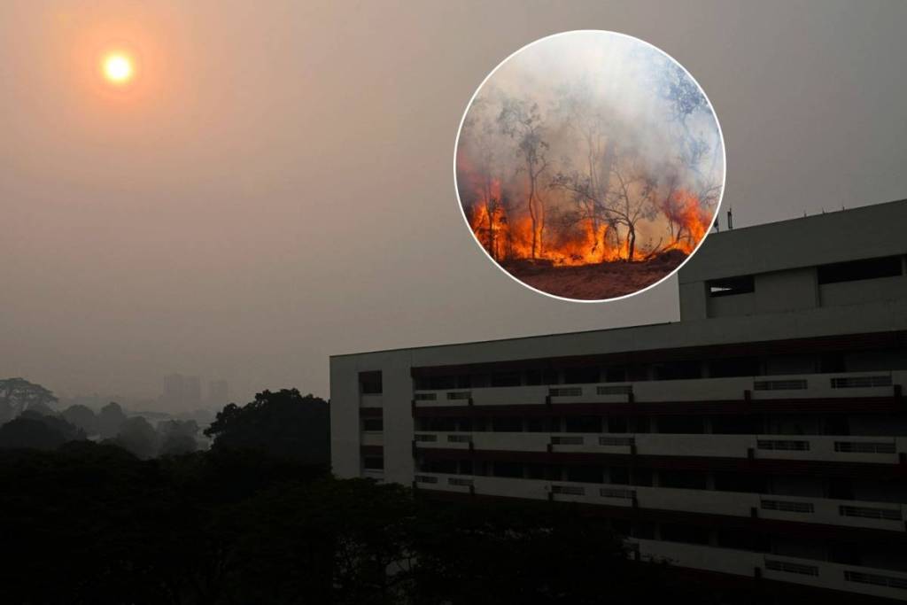 Singapore faces highest risk of transboundary haze in 2026 starting August red alert issued for Singapore Malaysia Indonesia Brunei