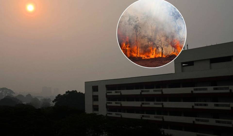 Singapore faces highest risk of severe transboundary haze in 2026