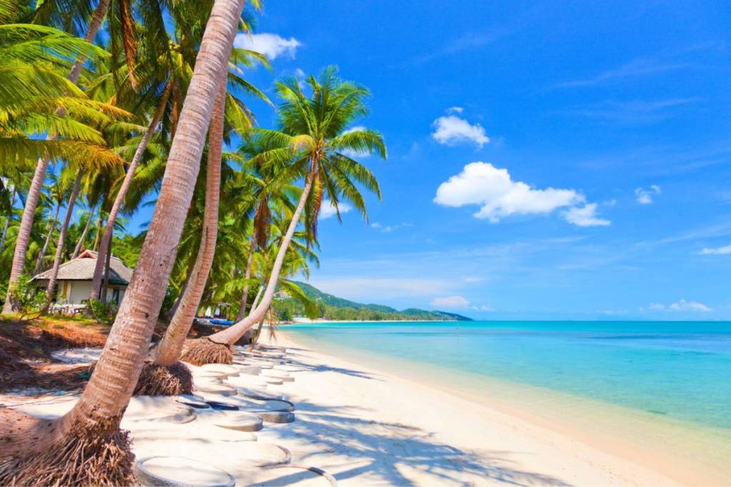 Koh Samui Thailand named Asia Pacific's best island for 2026 just under two hours from Singapore