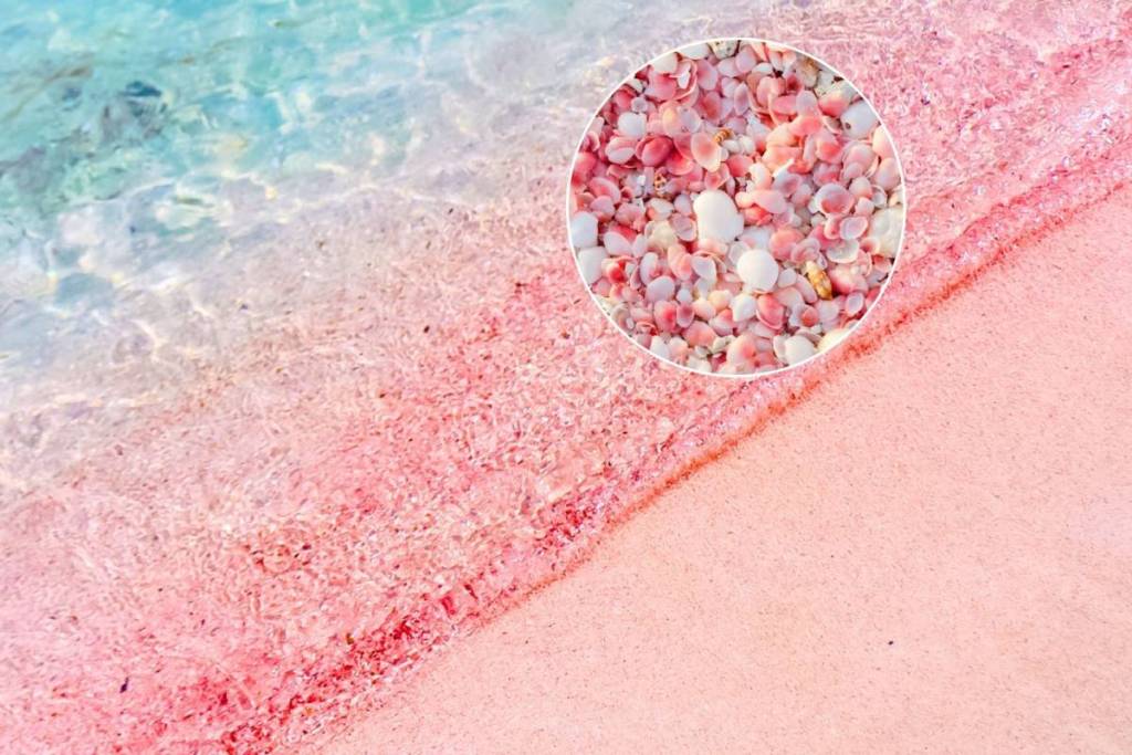 pink sand beaches in Asia near Singapore guide