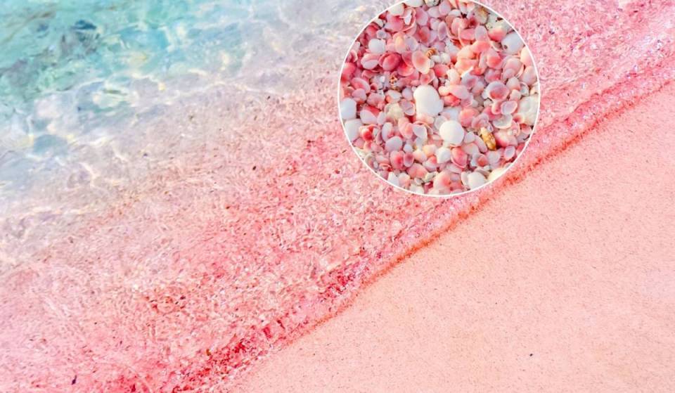 Asia’s rare pink sand beaches are just a quick hop from Singapore