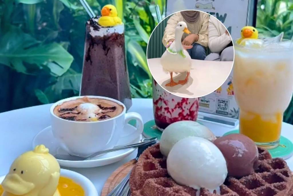 Dudu Duck Cafe opens in Johor Bahru just 20 minutes from border with Singapore. It has real ducks, jiggly puddings, and iced lattes
