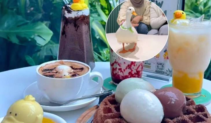 Just 20 mins away: JB’s viral new pet cafe has real ducks, matcha lattes & jiggly duck puddings