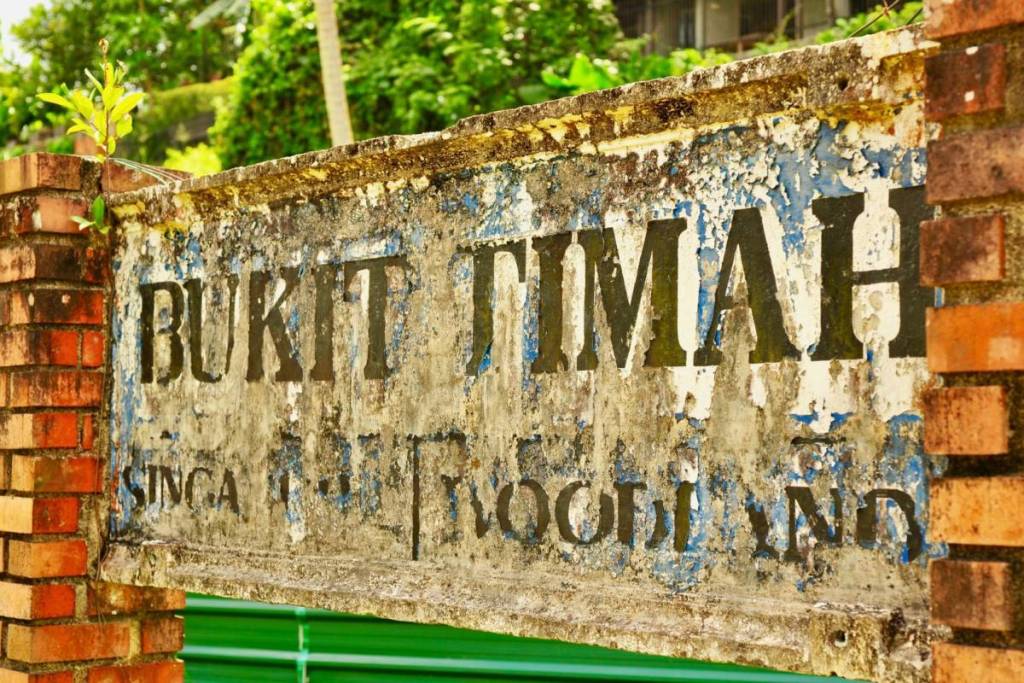 old Bukit Timah carvings on longest street