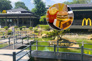 Singapore’s best-rated McDonald’s is hidden inside a 1970s Japanese Garden (with its own turtle colony)