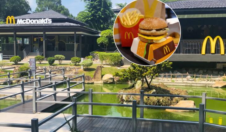Singapore’s best-rated McDonald’s is hidden inside a 1970s Japanese Garden (with its own turtle colony)