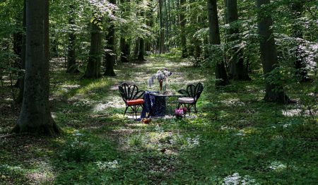 A Restaurant Just Outside Stockholm Is Filling A Forest With Tables To Encourage Social Distancing