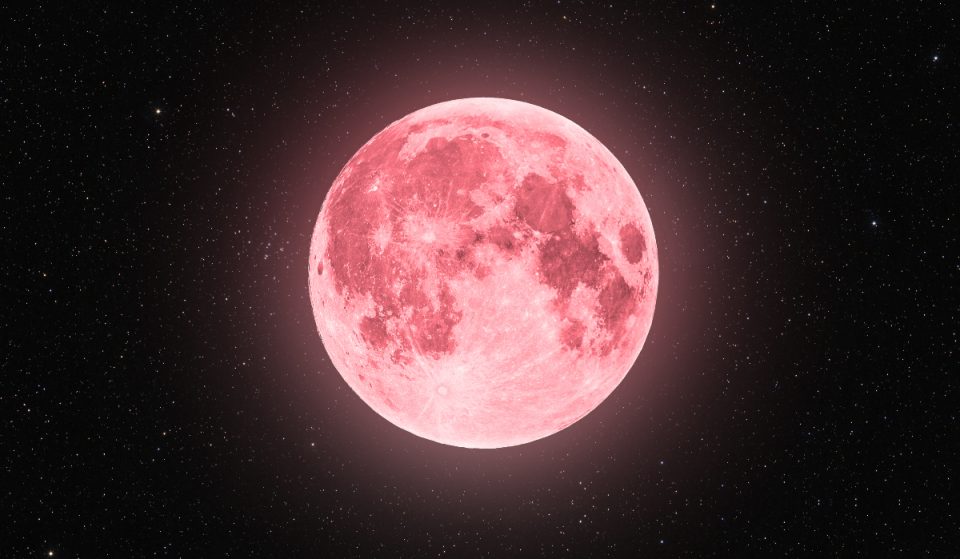Heute Nacht erhellt ein rosa „Supermond“ den Himmel!
