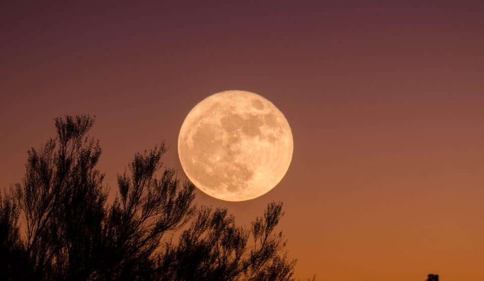 „Blumenmond“: der größte Vollmond des Jahres strahlt heute Nacht