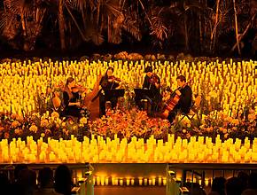 Nur für kurze Zeit: Erlebt klassische Tributkonzerte mit Candlelight Spring inmitten einer spektakulären Blütenkulisse