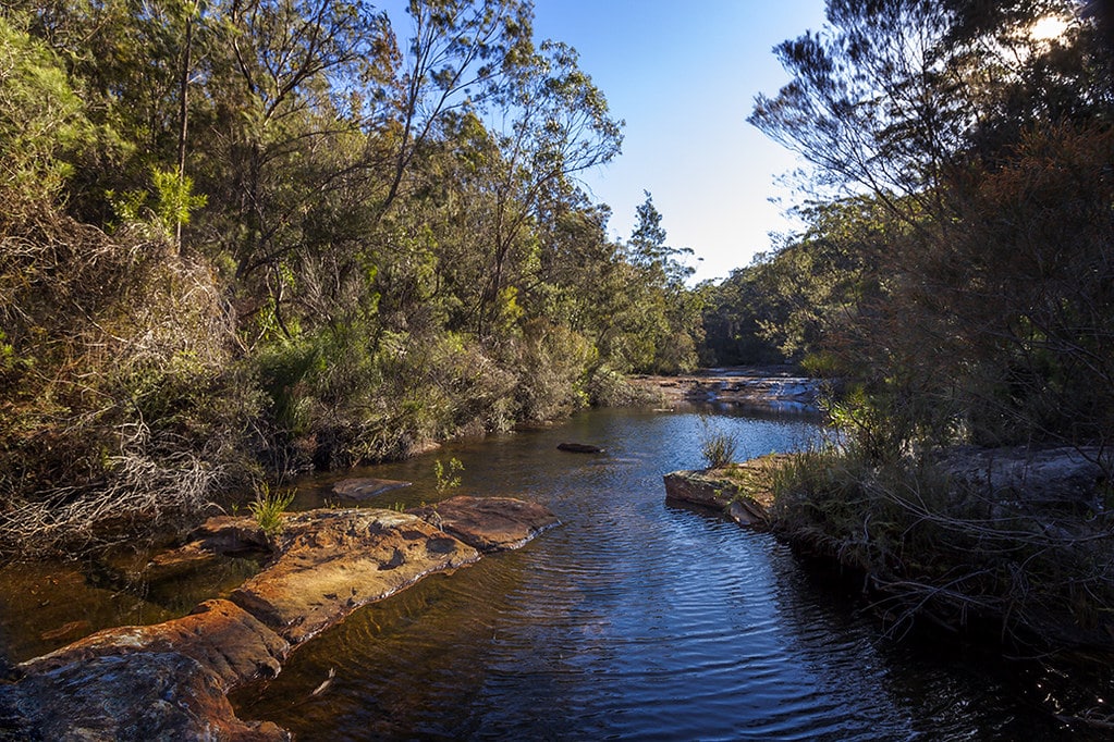 All The Breathtaking National Parks You Have To Visit Near Sydney (And By Near, We Mean Within 150 kms)