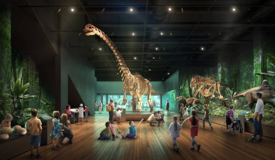 Explore Science, Culture And Nature In Australia’s Oldest Museum