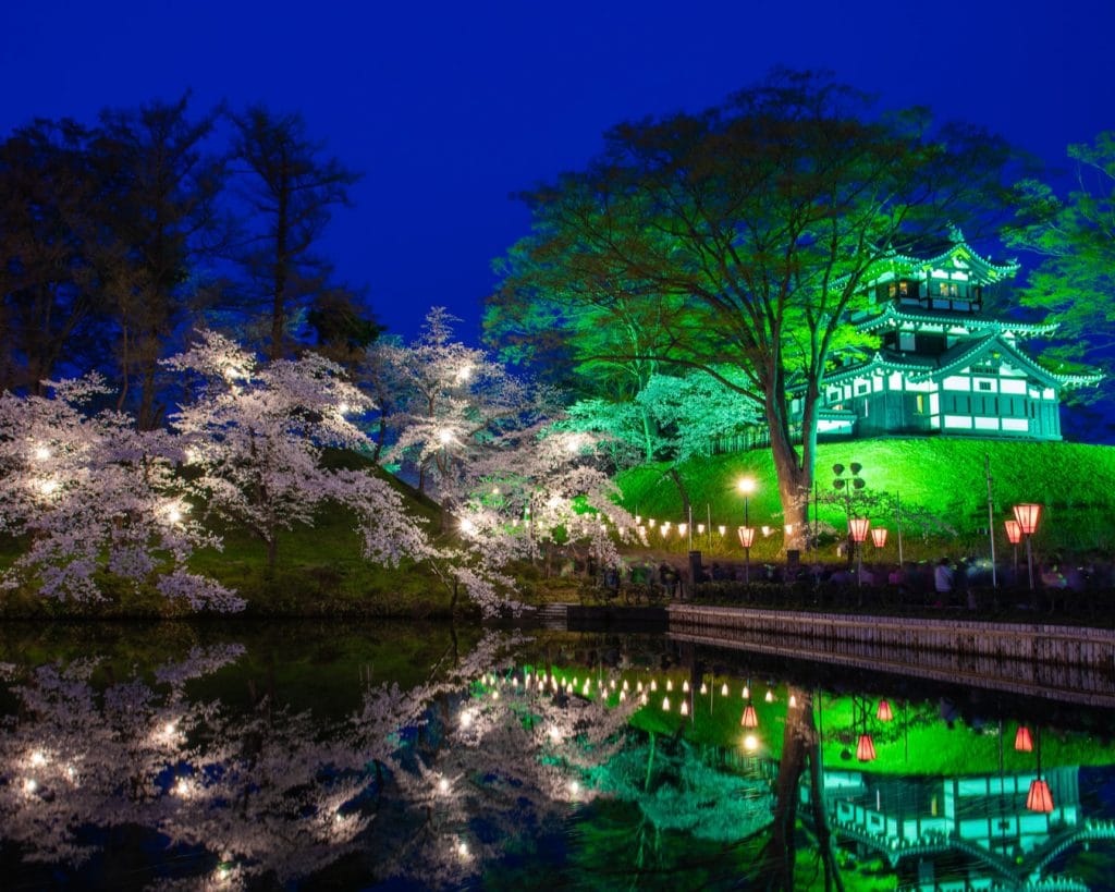 The Immersive Nature Illuminated Experience Is Now Accepting NSW Discover Vouchers