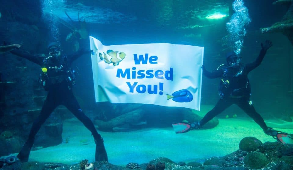 Our Favourite Darling Harbour Attractions Are Emerging From Lockdown Hibernation Tomorrow