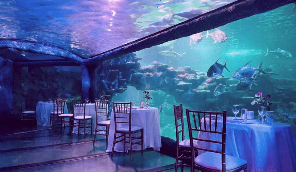 Love Is In The Sea At This Romantic Underwater Dining Experience This Valentine&#8217;s Day