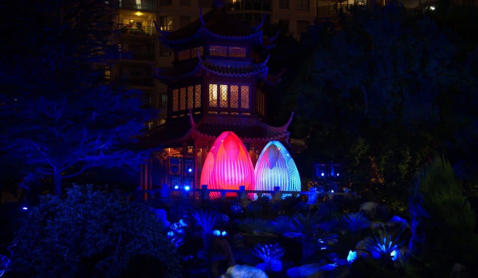 Nature Illuminated At Sydney’s Chinese Garden Of Friendship Has Entered Its Final Month