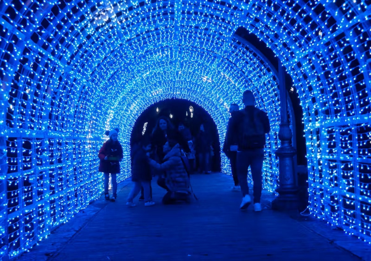 Light Up The Night At Scenic World Secret Sydney