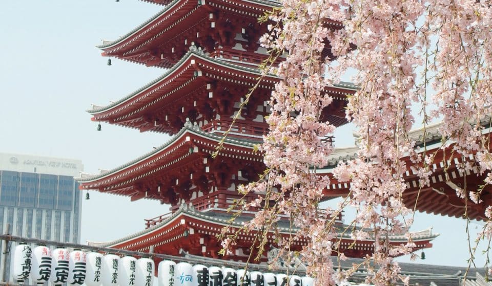 Japan Finally Lifts Last Travel Restrictions So Soon You Won’t Need A Visa To Visit