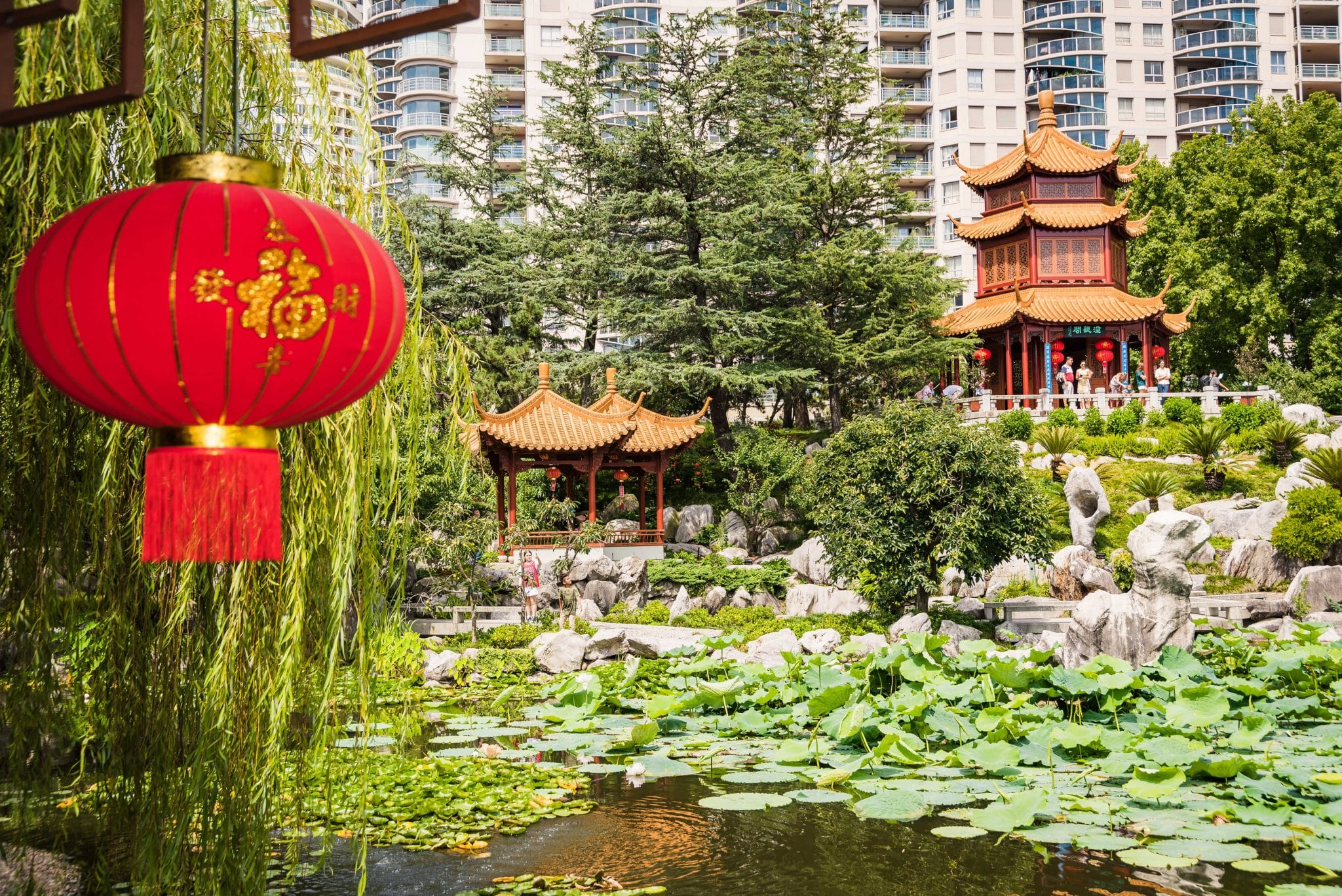 moon-festival-at-the-chinese-garden-of-friendship-secret-sydney