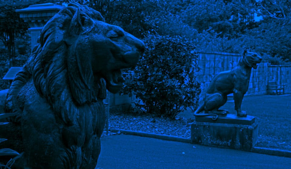 Get Spooked By A Ghostly Garden Tour At The Royal Botanic Garden This August