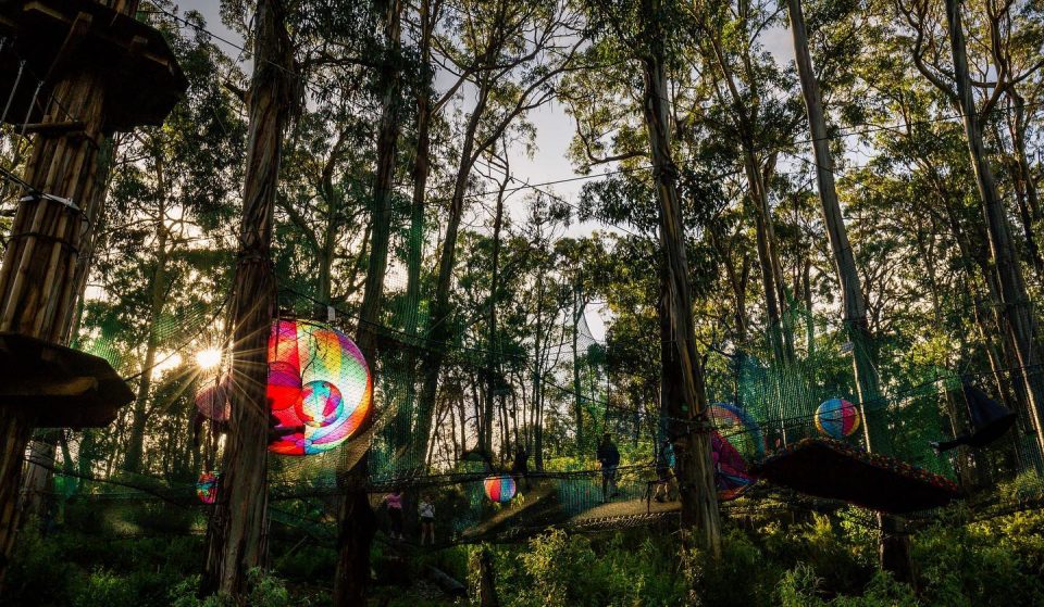 Bounce, Slide And See Koalas Up Close When Australia’s Largest Suspension Playground Opens This Month