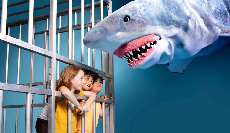An Immersive Theatre Experience Featuring Life-Size Sharks Has Opened At The Australian Museum