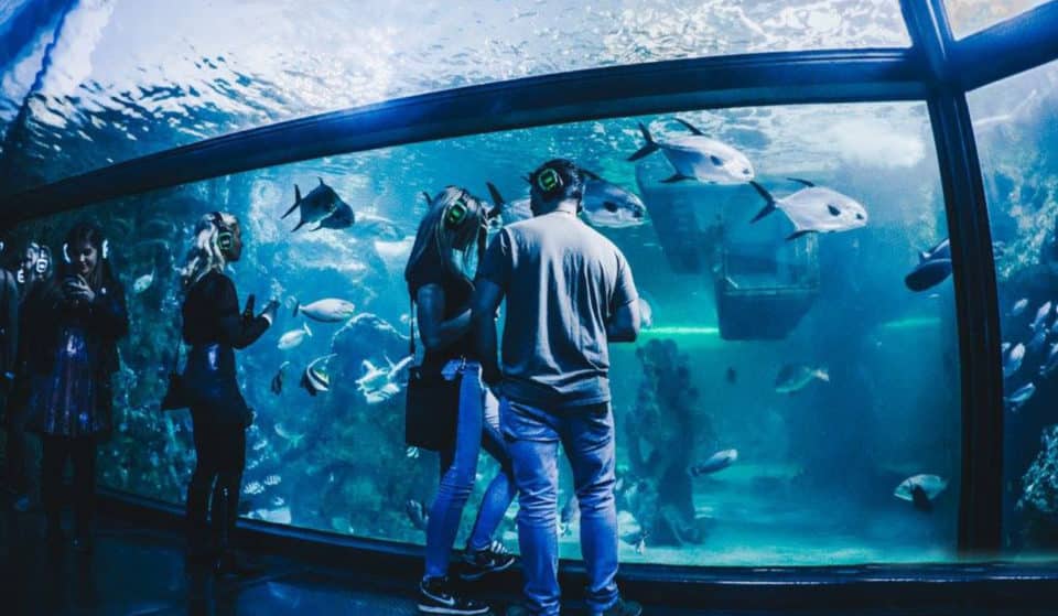 Get Your Boogie On At Sydney’s Atlantis-Themed Underwater Silent Disco This July