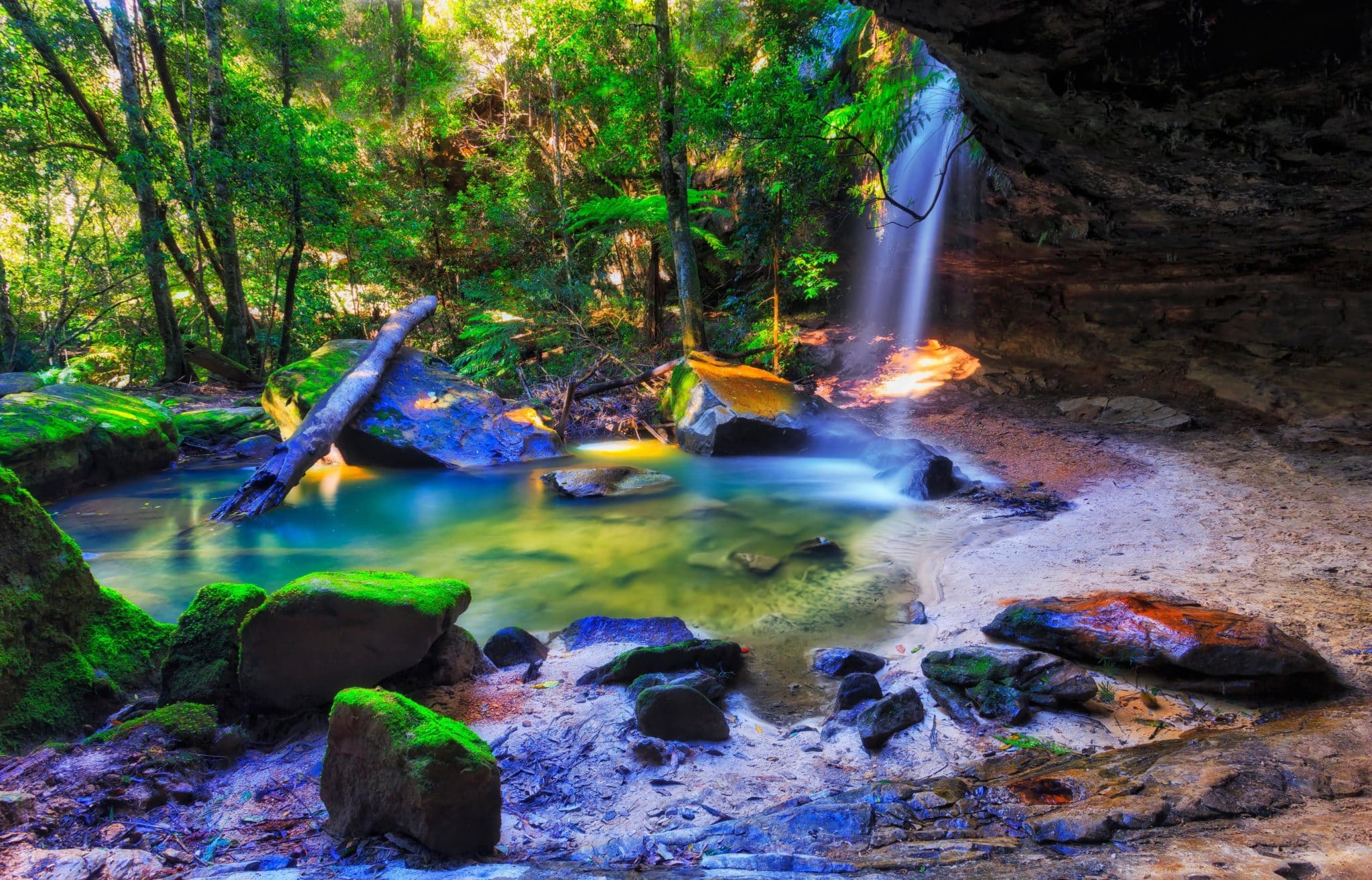 Horseshoe Falls Sparkles With Glow Worms After Dark