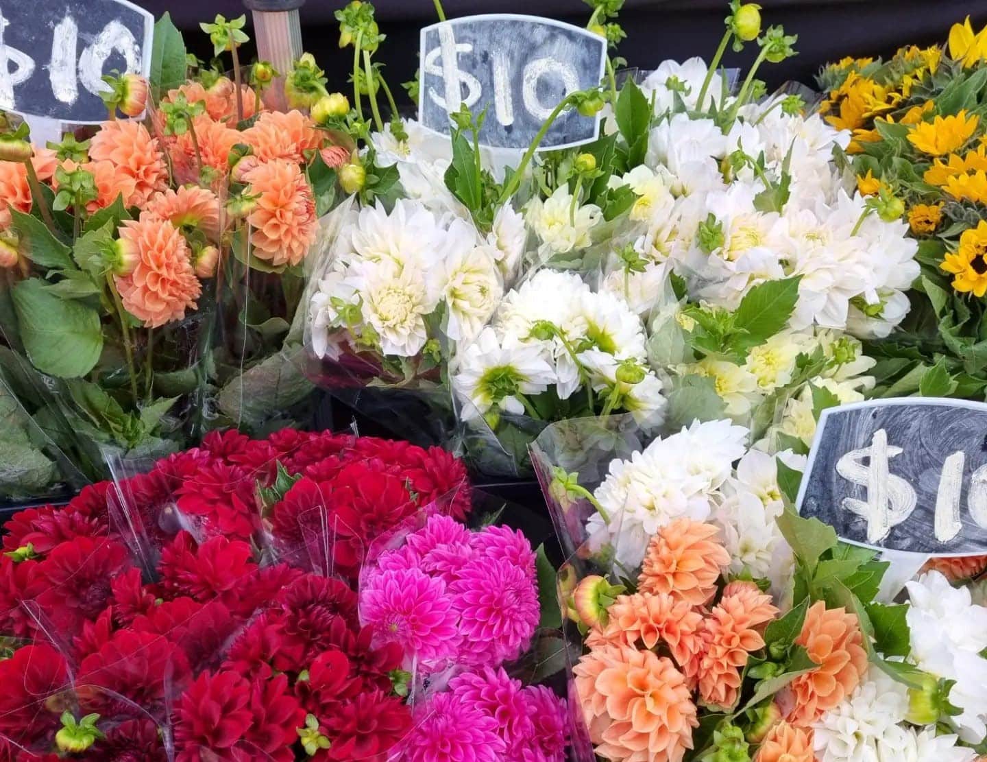 8 Brilliant Winter Markets To Visit In Sydney Secret Sydney