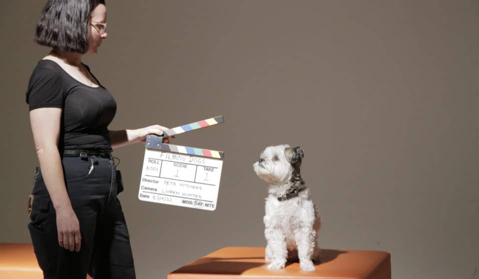 This Super Cute Film Festival In Sydney Is Dedicated Entirely To Films About Dogs