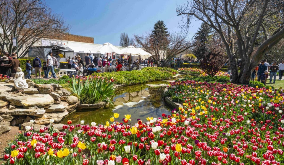 One Of Australia’s Oldest Flower Festivals Takes Place Just Two Hours From Sydney &#8211; With Live Music, Food Events, And 80,000 Tulips