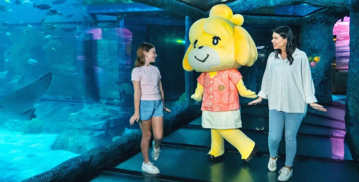 animal crossing at sea life