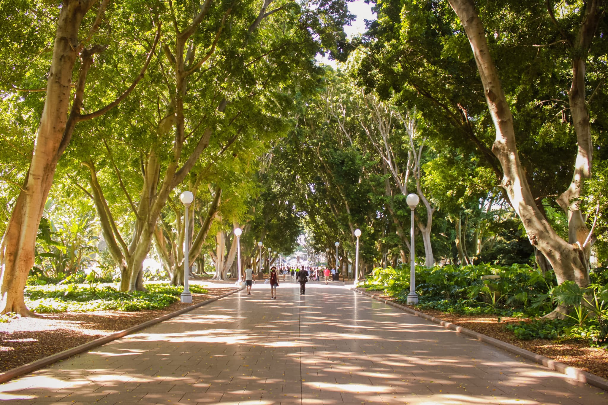 Australia's Oldest Park Is A Charming Spot In The Heart Of Sydney