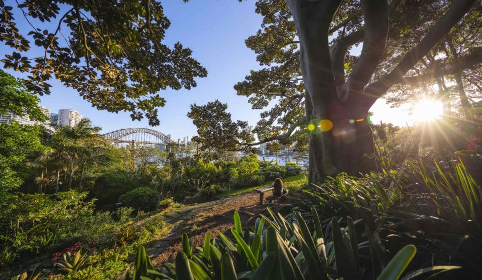 Sydney’s Whimsical Secret Garden With Fairy Houses And Harbour Views