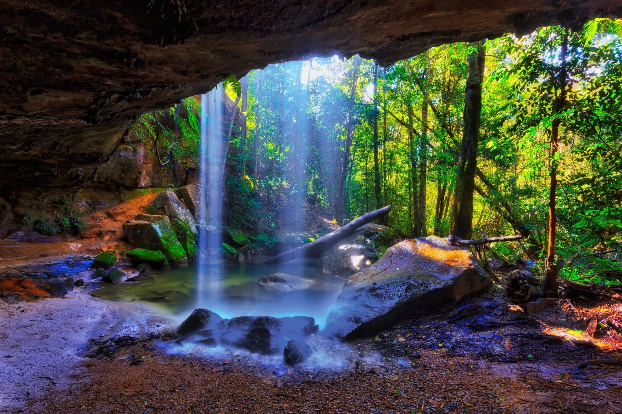 Horseshoe Falls Sparkles With Glow Worms After Dark