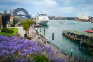 10 Gorgeous Places To See Jacaranda Blooms In Sydney This Spring